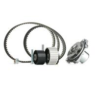 INA Kit de distribution + pompe à eau Pompe à Eau + Kit De Distribution 530 0561