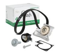 INA Kit de distribution + pompe à eau Pompe à Eau + Kit De Distribution 530 0607