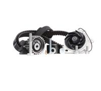 INA Kit de distribution + pompe à eau Pompe à Eau + Kit De Distribution 53mm