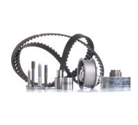 INA 530 0082 10 Kit de distribution pour AUDI,SEAT,SKODA,VW,VW (FAW)