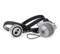 Ina Pompe À Eau + Kit De Distribution Peugeot,Citroën 530 0016 30 0000082919,0000082954,081637 Pompe À Eau + Kit De Courroie De Distribution 081644