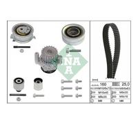 INA Pompe À L'Eau + Courroie pour VW Passat Tous Suivre 365 3C5 Audi A4 Avant
