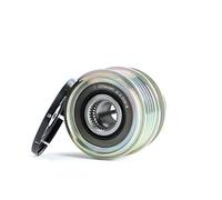INA Poulie débrayable d'alternateur 1379701 30667682 30659131 Compatible avec FORD S-Max Mk1 WA6 Mondeo Mk4 Break BA7 Mondeo Mk4 5 portes BA7 Mondeo Mk4 Berline BA7 Mondeo Mk5 Berline CD, VOLVO