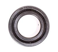 INA sl185006 Roulement à rouleaux cylindriques, 2 rangées, anneau extérieur amovible, semi-fixe, flanelle, dégagement normal, extrémité ouverte, trou d'huile, métrique 30 mm ID, 55 mm OD, 34 mm de