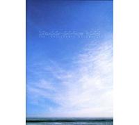 Inalienable Dreamless