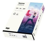 inapa Tecno Colors Lot de 250 feuilles de papier coloré 120 g/m² Blanc Format A4