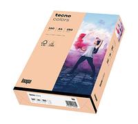 inapa Tecno Colors Lot de 250 feuilles de papier coloré 160 g/m² A4 Saumon