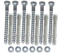 Inbrackets Lot de 6 vis de fixation murale M8 x 80 mm avec chevilles et rondelles pour antenne satellite, parabole, clôture, étagères, terrasse