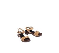 INCA_BS BARLEY 39