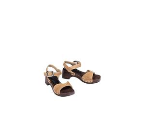 INCA_BS BARLEY 39