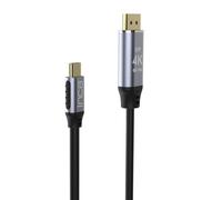 Inca ITCD-20 câble vidéo et adaptateur 2 m USB Type-C HDMI Noir, Argent