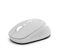 INCA IWM-243RG Candy Design Souris sans Fil, 2,4 GHz, Mode Veille Automatique, 800-1600 DPI (Gris)
