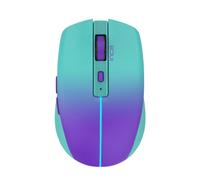 Inca IWM-511RM souris Bureau Droitier RF Wireless + Bluetooth + USB Type-C Optique 1600 DPI