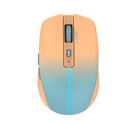 Inca IWM-511RT souris Bureau Droitier RF Wireless + Bluetooth + USB Type-C Optique 1600 DPI