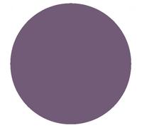 Incarose Piu Volume Rouge à Lèvres Matte 06 Extreme Purple 4ml