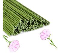 Incauca Lot de 80 fils de fleurs en papier - 3 mm x 40 cm - Fil de fleuriste - Fil de bricolage pour bricolage, tige de fleurs, fleurs, artisanat, couronnes, bouquets, arrangements - Vert