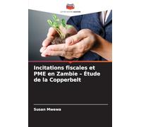 Incitations fiscales et PME en Zambie - Étude de la Copperbelt