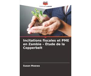 Incitations fiscales et PME en Zambie - Étude de la Copperbelt
