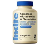 Incite Nutrition Complexe à haute résistance de glucosamine et de chondroïtine avec MSM, vitamine C, gingembre, églantier et curcuma pour les soins des articulations | 120 capsules Premium