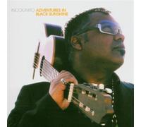 Incognito - Adventures in Black Sunshine