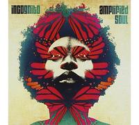 Incognito – Amplified Soul – CD – earMUSIC