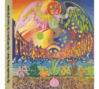 Incredible String Band - 5000 Spirits Or the Layers of the Onion Original recording remastered Edition by Incredible String Band (2010) Audio CD