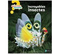 Amanda O'neill – Les insectes – Questions/Réponses – Dès 7 ans – Cartonné