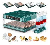 Incubateur Automatique,Incubateur Oeuf, Egg Incubators, Avec Retournement Automatique Des œUfs Et Ajout Automatique D'Eau, Double Alimentation, Pour Couver Du Poulet, Du Canard Et De L'Oie,130eggs