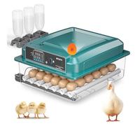 Incubateur Automatique pour 36 œufs, 4 Modes Auto, Couveuse électrique - Retournement Auto & Alimentation Auto en Eau - Contrôle Intelligent de la Température - Double Alimentation (A)