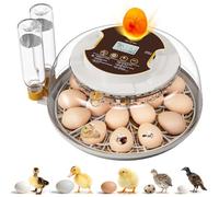 Incubateur de 18 œufs avec rotation automatique des œufs et contrôle de l'humidité, bougie à œufs intégrée, fenêtre de vue à 360° et plateaux double taille pour poulet, canard, caille, œufs d'oie