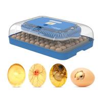 Incubateur d'oeufs 70 œufs Capacité 3in1 LCD Affichage numérique Auto œuf automatique Température Humidité Contrôle d'éclosion programmable incubateur de couvain de poulet pour (Bouchon AU)