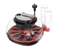Incubateur D'oeufs De Poulet | Incubateurs D'oeufs pour Écloser Les Œufs | Contrôle De Température Automatique 12 Incubateur D'œufs avec Couvercle Transparent, Conception D'éclairage LED pour Poulet,