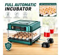 Incubateur d'œufs automatique portable multi-tailles, avec retournement programmé des œufs et humidification automatique, incubateur-laveuse léger et pratique pour l'élevage domestique, l'élevage de E