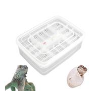 Incubateur d'œufs de reptile - 16 compartiments pour éclosion de 16,7 x 12