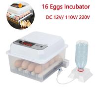Incubateur d'œufs électrique double, 16 œufs, volaille, entièrement automatique, Mini couveuse domestique pour poulet, oie, canard, oiseau 220V DC 12V