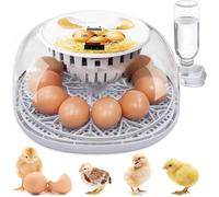 Incubateur d'œufs pour couver des œufs, capacité de 12 œufs, rotation automatique des œufs, contrôle de l'humidité et vue à 360°, ajout automatique d'eau pour poulets, canards, oies et cailles
