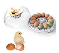 Incubateur D'œufs pour Poussins, Retourneur Automatique, Couveuse pour Volailles de Ferme, Incubateur pour 12 Œufs, pour Petites Volailles Et Poules