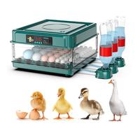 Incubateur d'œufs professionnel, couveuse automatique numérique pour poulet, couveuse de volaille avec retourneur automatique et contrôle de la température et de l'humidité, pour caille, canard