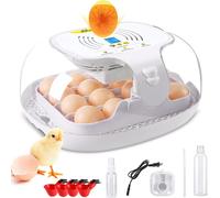 Incubateur entièrement automatique, Couveuse 16 œufs avec écran, régulation de la température Incubation des œufs Hatcher pour oie de poule, canard, pigeon, caille