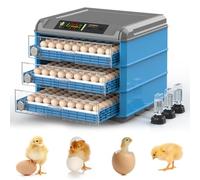 Incubateur numérique pour volaille, rotation automatique avec contrôle de l'humidité, idéal pour faire éclore poulet, caille, œufs de canard