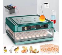 Incubateur Oeuf Automatique, Retournement Automatique Des œUfs + Ajout Automatique D'Eau + ContrôLe De La TempéRature, Pour éQuipement D'Incubation De Poulet, D'Oie,De Caille Et D'Oiseau,48eggs