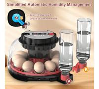 Incubateur pour 12 œufs pour l'éclosion des œufs, affichage de la température et de l'humidité, vue à 360°, ajout d'eau automatique, incubateur avec mirage pour l'éclosion des œufs de poule, de canard
