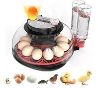 Incubateur pour éclosion des œufs, retourneur automatique d'œufs et nouveau système de contrôle automatique de l'humidité, vision claire à 360° pour poulet, canard et caille (noir)