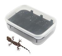 Incubateur pour Reptiles - Bac D'Éclosion pour Geckos avec 14 Grilles - Boîte Transparente d'Habitat pour Reptiles Araignées et Scorpions - Usage Intérieur/Extérieur avec Parois d'escalade