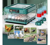 Incubateur pour œufs Home Incubateur intelligent Incubateur à œufs automatique avec contrôle de la température (220V/110V) Incubateur à couver de poulet, grande capacité, 56-64