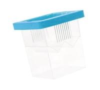 Incubateur transparent pour poissons de bébé, avec ventouses, pour nouveau-né, crevettes professionnelles, équipement d'élevage de poissons