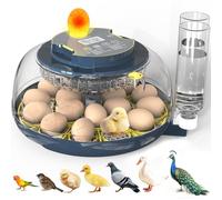 Incubateurs pour éclosion d'œufs, incubateur à 18 œufs avec chandelier, tourneur automatique d'œufs, contrôle de la température et de l'humidité, jour d'éclosion, recharge automatique d'eau, plateau à