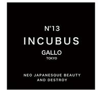 Incubus [Import allemand]