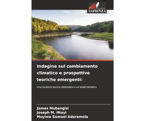 Indagine sul cambiamento climatico e prospettive teoriche emergenti:: Una revisione teorica sistematica e un'analisi tematica