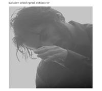 Independant dancer Vinyle